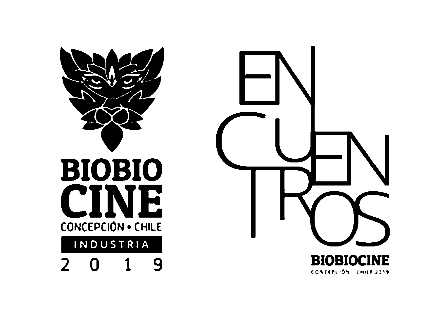 Bio Bio Cine, Industria